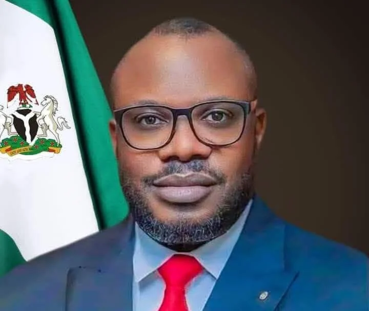 Portrait of Presidential Amnesty Programme Administrator Dennis Otuaro beside a Nigerian flag